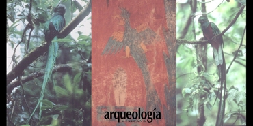 El quetzal