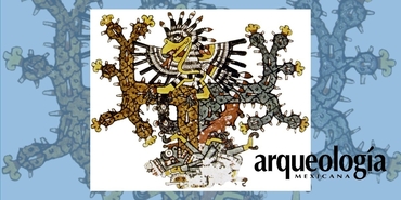 Representación y simbolismo del cuauhtli sagrado