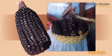 Los platillos fermentados