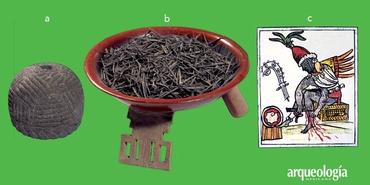 Las espinas del maguey