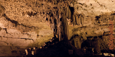Las columnas del cosmos