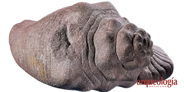 Los caracoles monumentales del recinto sagrado de Tenochtitlan