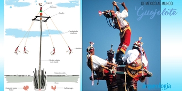 El guajolote y la Danza de los Voladores 