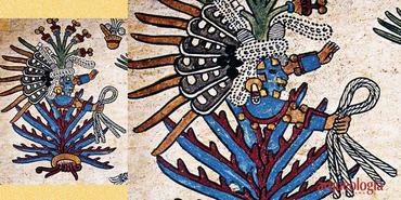 Mayahuel y el maguey