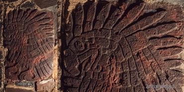 Un bajorrelieve de águila real 