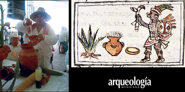 La rata de campo nos dio el pulque