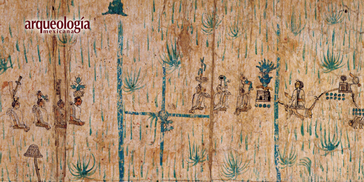 Entre tulares y carrizales. Organización social y política de Mexico Tenochtitlan en tiempo de su fundación