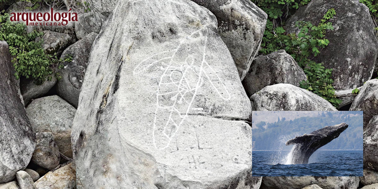 Petrograbados marinos de Acapulco