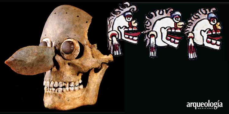 Destino de los cráneos del Huei Tzompantli
