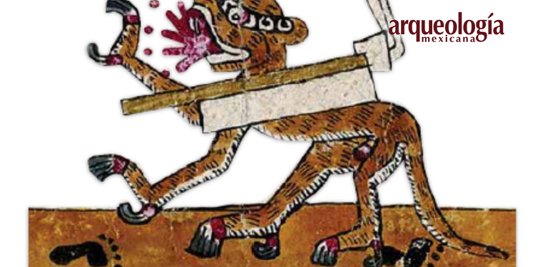 Comadrejas y mapaches representados en los códices