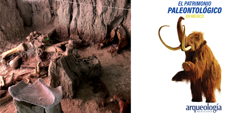 paleontología | Arqueología Mexicana paleontología | Arqueología Mexicana
