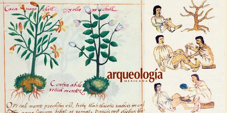 Aportaciones de la medicina náhuatl prehispánica