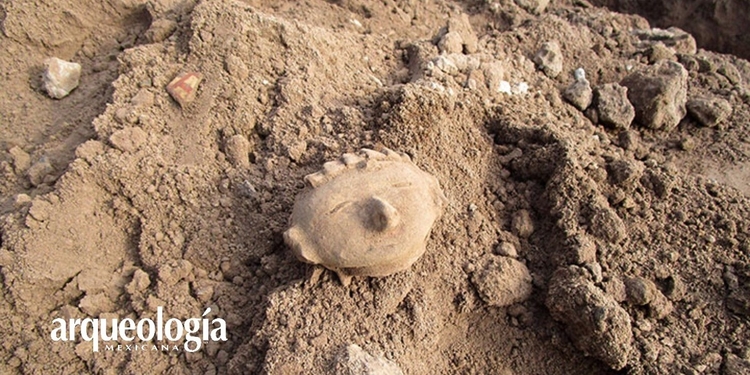 Avanzan los trabajos de salvamento arqueológico dentro de la zona urbana de Pozo de Ibarra, Nayarit