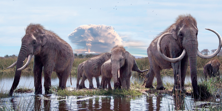 El mamut, icónico animal del Pleistoceno Final