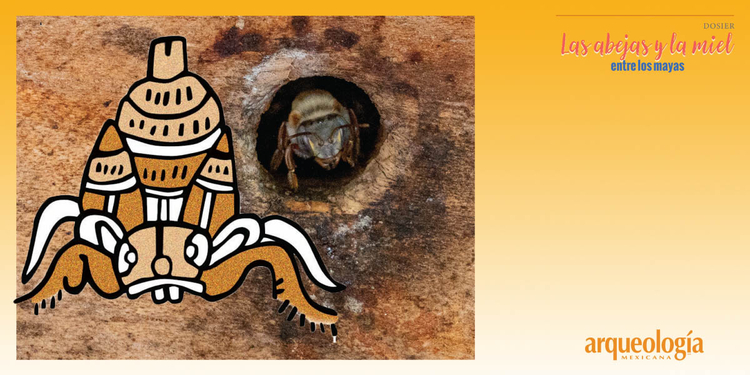 La abeja melipona es sagrada 