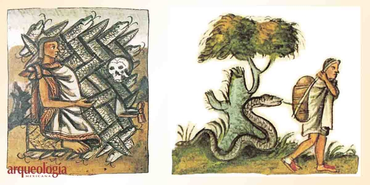 Las serpientes en el Códice Florentino