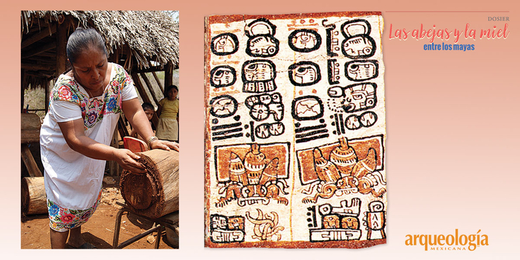 Meliponicultura maya