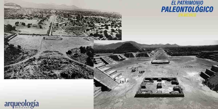 Teotihuacan Arqueologia Mexicana Teotihuacan Arqueologia Mexicana