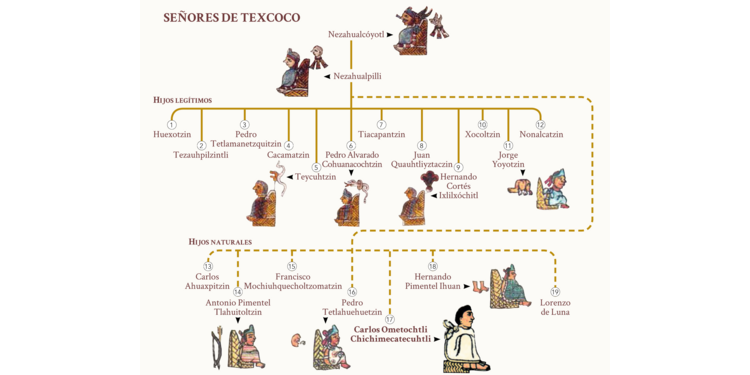 El juicio inquisitorial del noble texcocano don Carlos Ometochtli Chichimecatecuhtli (1539)