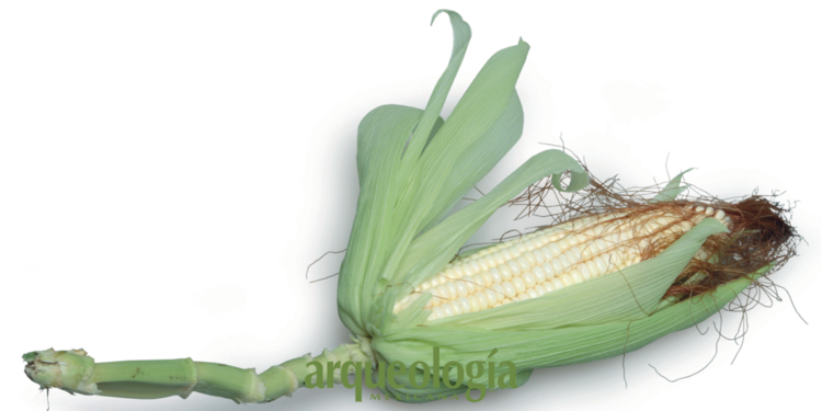 La nixtamalización del maíz