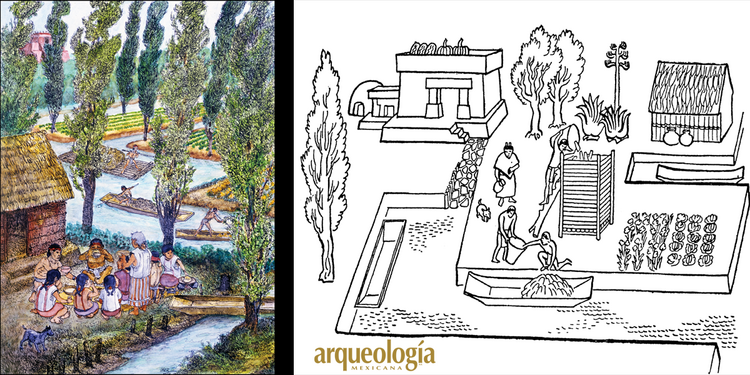 vida cotidiana | Arqueología Mexicana