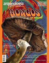 Portada revista